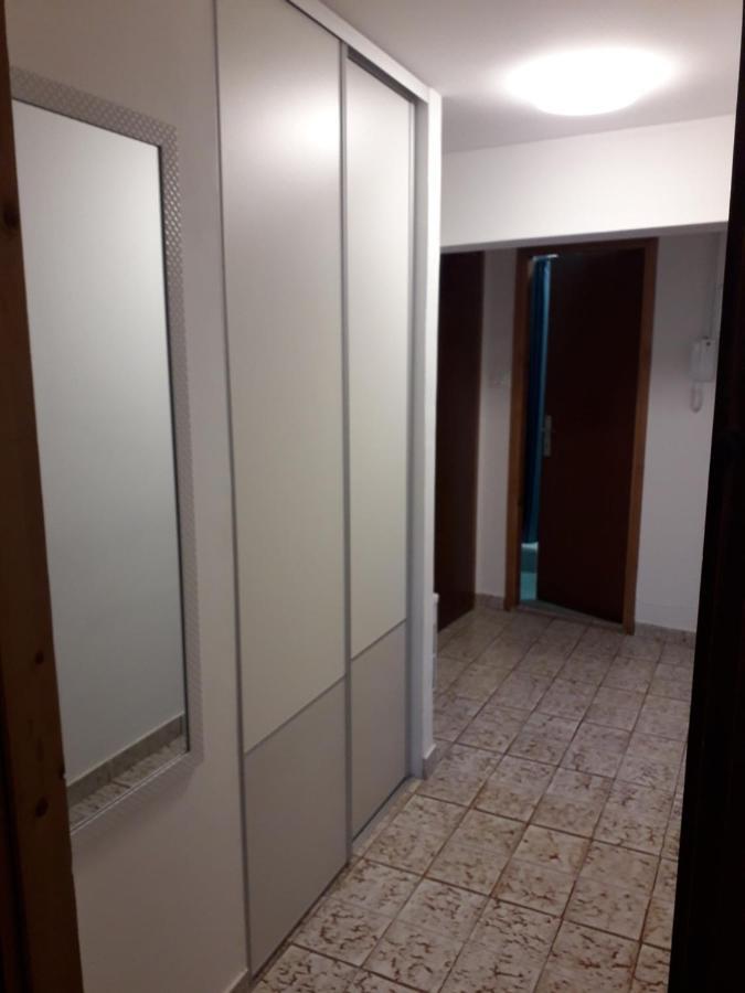 Apartments Pepe Novigrad Istria Extérieur photo