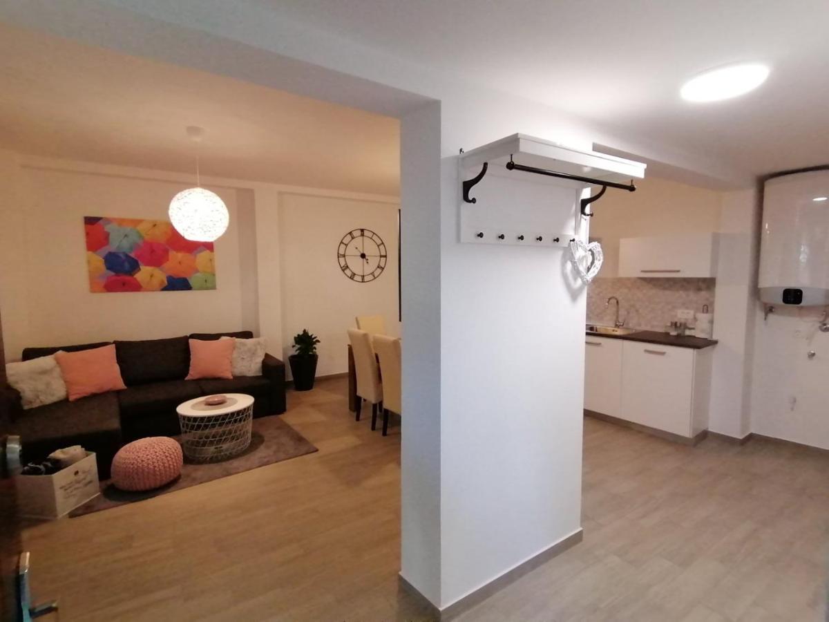 Apartments Pepe Novigrad Istria Extérieur photo